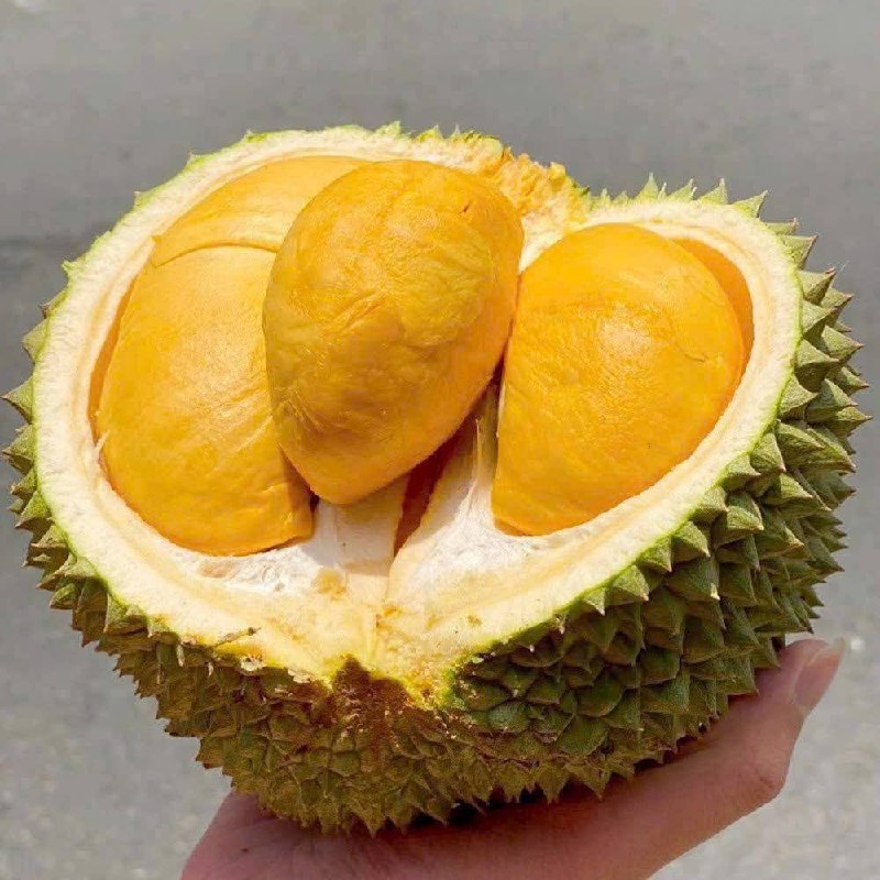 Mùa sầu riêng: tháng nào ngon nhất và rẻ nhất trong năm?