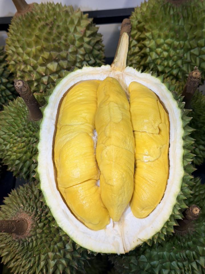 Sầu riêng chín cây cơm vàng hạt lép — Anh Ba Sầu